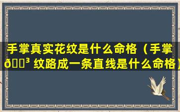 手掌真实花纹是什么命格（手掌 🌳 纹路成一条直线是什么命格）